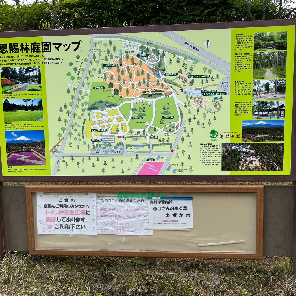 cinquantaの備忘録さんが投稿した上吉田公園のお店恩賜林庭園/おんしりんていえんの写真