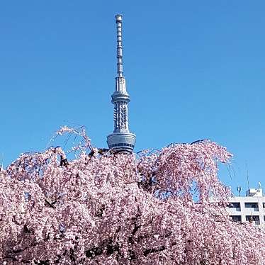 東京スカイツリーのundefinedに実際訪問訪問したユーザーunknownさんが新しく投稿した新着口コミの写真