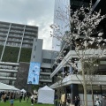 実際訪問したユーザーが直接撮影して投稿した大名広場福岡大名ガーデンシティ パークの写真