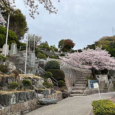 実際訪問したユーザーが直接撮影して投稿した上長迫町公園長迫公園の写真