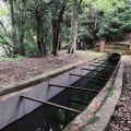 実際訪問したユーザーが直接撮影して投稿した南禅寺福地町歴史 / 遺跡水路閣の写真