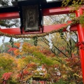 実際訪問したユーザーが直接撮影して投稿した上矢田町神社鍬山神社の写真