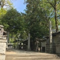 実際訪問したユーザーが直接撮影して投稿した岸町神社調神社の写真