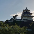 実際訪問したユーザーが直接撮影して投稿した掛川城 / 城跡掛川城公園の写真