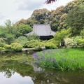 実際訪問したユーザーが直接撮影して投稿した柳本町寺長岳寺の写真