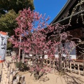 実際訪問したユーザーが直接撮影して投稿した天神橋神社大阪天満宮の写真