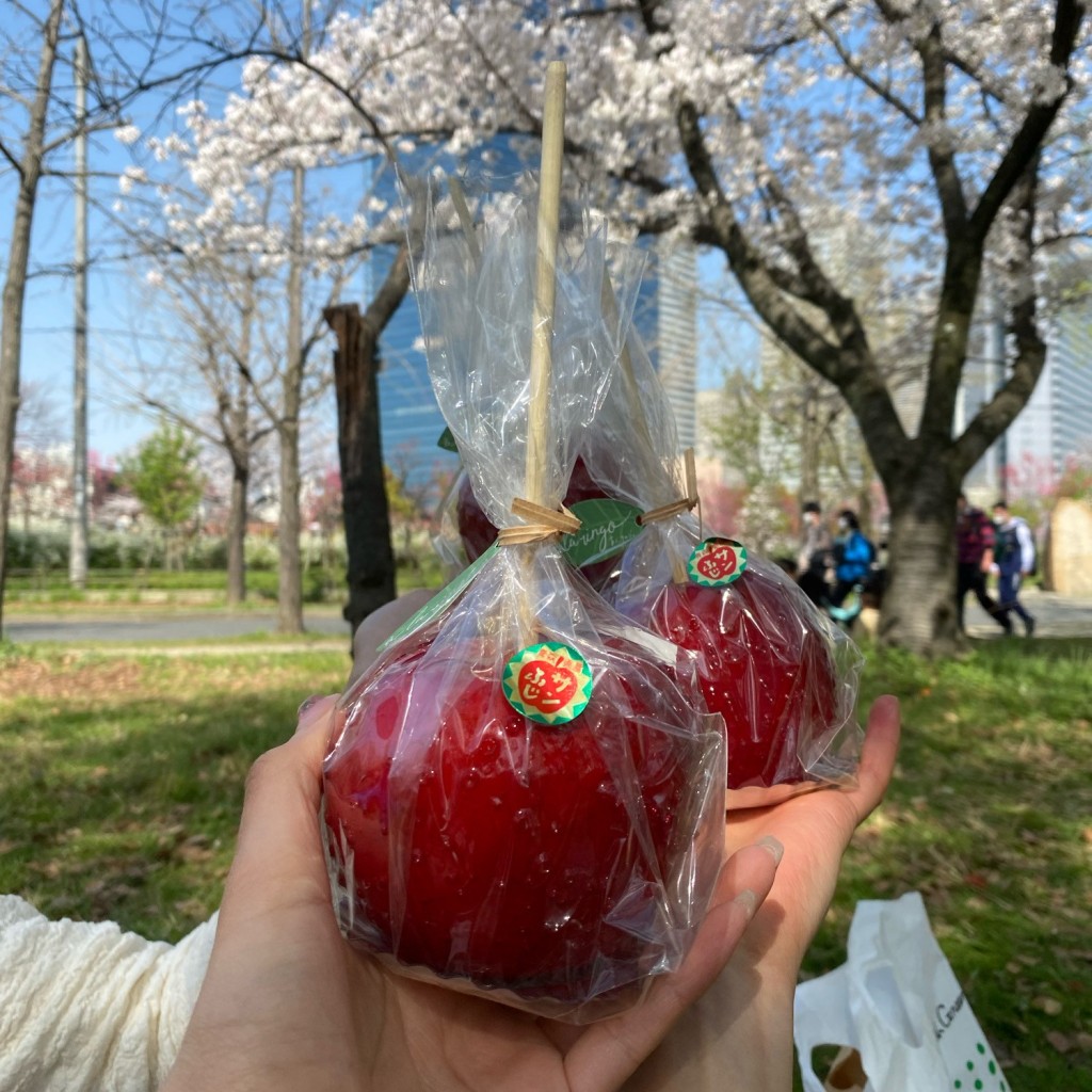 ユーザーが投稿したル サンふじりんご飴の写真 - 実際訪問したユーザーが直接撮影して投稿した梅田スイーツあら、りんご。ルクア大阪店の写真