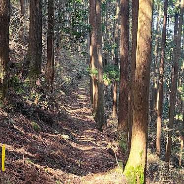 くまくまくまーさんが投稿した山 / 峠のお店如法山の写真