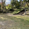 実際訪問したユーザーが直接撮影して投稿した青山台公園くちなし公園の写真