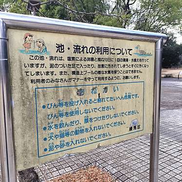 実際訪問したユーザーが直接撮影して投稿した光が丘湖沼 / 池夏の雲公園 ジャブジャブ池の写真