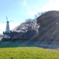 実際訪問したユーザーが直接撮影して投稿した土呂町公園見晴公園の写真