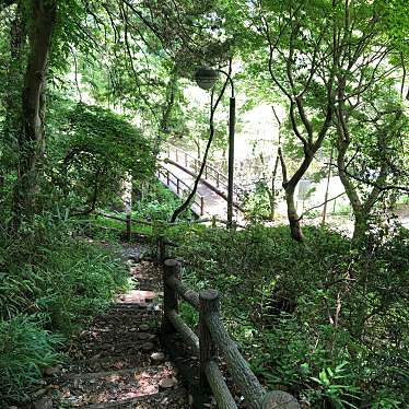 実際訪問したユーザーが直接撮影して投稿した茶畑公園偕楽園の写真