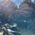 実際訪問したユーザーが直接撮影して投稿した山中温泉こおろぎ町地域名所こおろぎ橋の写真