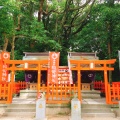 実際訪問したユーザーが直接撮影して投稿した香椎神社香椎宮の写真