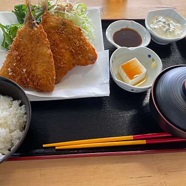 実際訪問したユーザーが直接撮影して投稿した大山定食屋pippiのごはんの写真