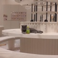 実際訪問したユーザーが直接撮影して投稿した稲岡テーマカフェ猫カフェ Puchi Marry イオンモールつくば店の写真