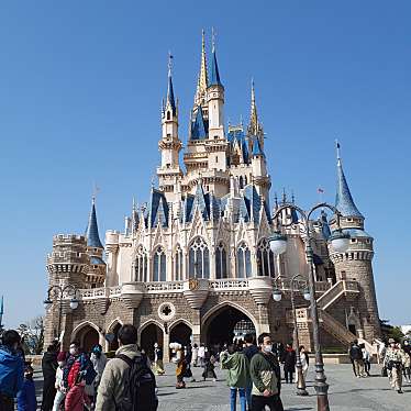 東京ディズニーランドのundefinedに実際訪問訪問したユーザーunknownさんが新しく投稿した新着口コミの写真