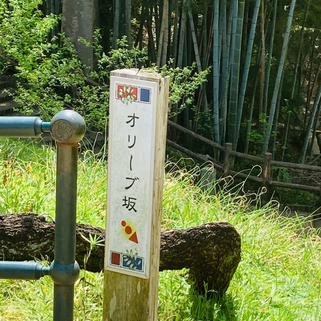 実際訪問したユーザーが直接撮影して投稿した大倉山通りオリーブ坂の写真