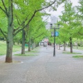 実際訪問したユーザーが直接撮影して投稿した水前寺公園神水町公園の写真