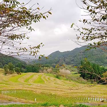 実際訪問したユーザーが直接撮影して投稿した平塚景勝地 / 百選大山千枚田の写真