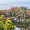 実際訪問したユーザーが直接撮影して投稿した千里万博公園庭園日本庭園の写真