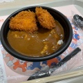 かつカレー丼 - 実際訪問したユーザーが直接撮影して投稿したみなとみらい弁当 / おにぎりごはんやさんの写真のメニュー情報