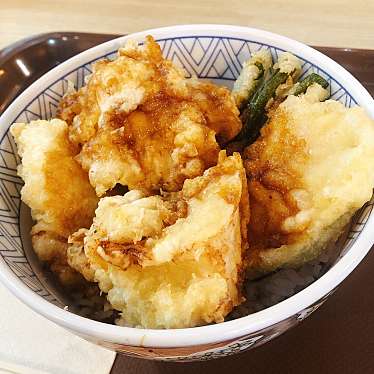 実際訪問したユーザーが直接撮影して投稿した塚口本町丼もの天丼・かつ丼・親子丼 元兵衛の写真