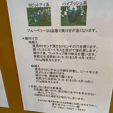 実際訪問したユーザーが直接撮影して投稿した文違ブルーベリー狩り真行寺ブルーベリー園の写真