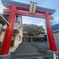 実際訪問したユーザーが直接撮影して投稿した元町神社厳島神社の写真