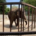 実際訪問したユーザーが直接撮影して投稿した山小川動物園アニマルワンダーリゾウト 市原ぞうの国の写真