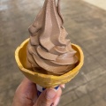 MIXチョココーン - 実際訪問したユーザーが直接撮影して投稿した金田東アイスクリームマザー牧場CAFE&SOFTCREAM 三井アウトレットパーク木更津店の写真のメニュー情報