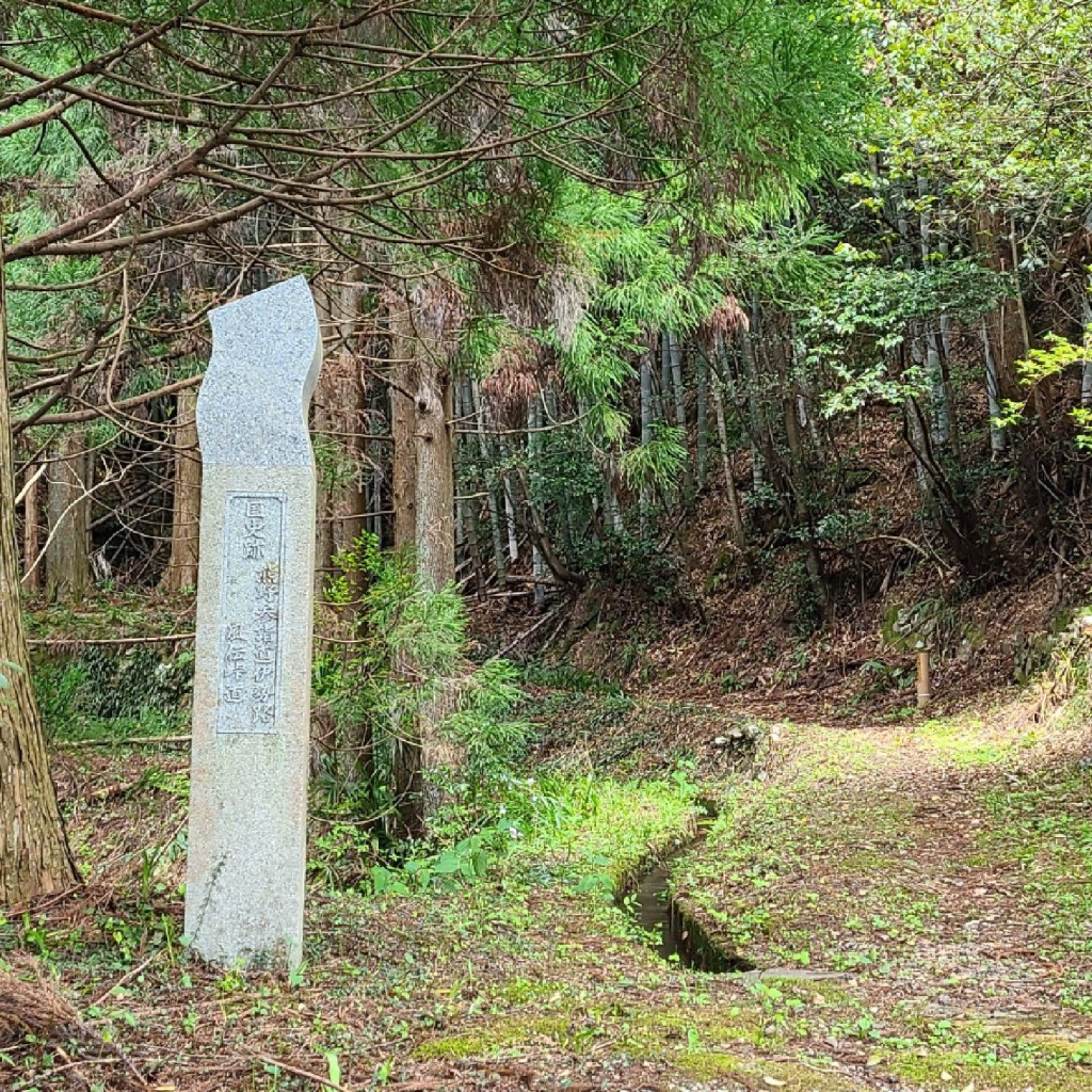 実際訪問したユーザーが直接撮影して投稿した山 / 峠熊野古道・風伝峠の写真