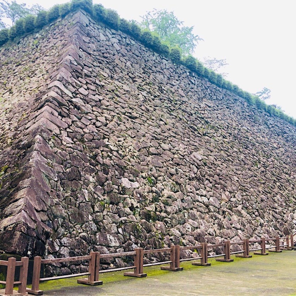 Hiro-Sakuさんが投稿した東本小路城 / 城跡のお店延岡城跡/ノベオカジョウシの写真