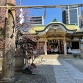 実際訪問したユーザーが直接撮影して投稿した神山町神社綱敷天神社の写真