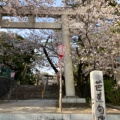 実際訪問したユーザーが直接撮影して投稿した平町神社日枝神社の写真