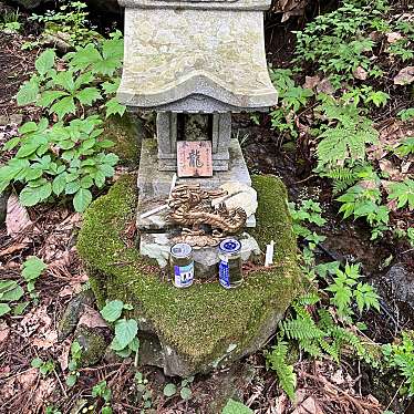 実際訪問したユーザーが直接撮影して投稿した大迫町内川目神社早池峰神社の写真