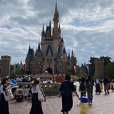 東京ディズニーランドのundefinedに実際訪問訪問したユーザーunknownさんが新しく投稿した新着口コミの写真