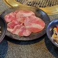 ローストビーフ丼 - 実際訪問したユーザーが直接撮影して投稿した玉川町カフェCafe SANJU NANADOの写真のメニュー情報