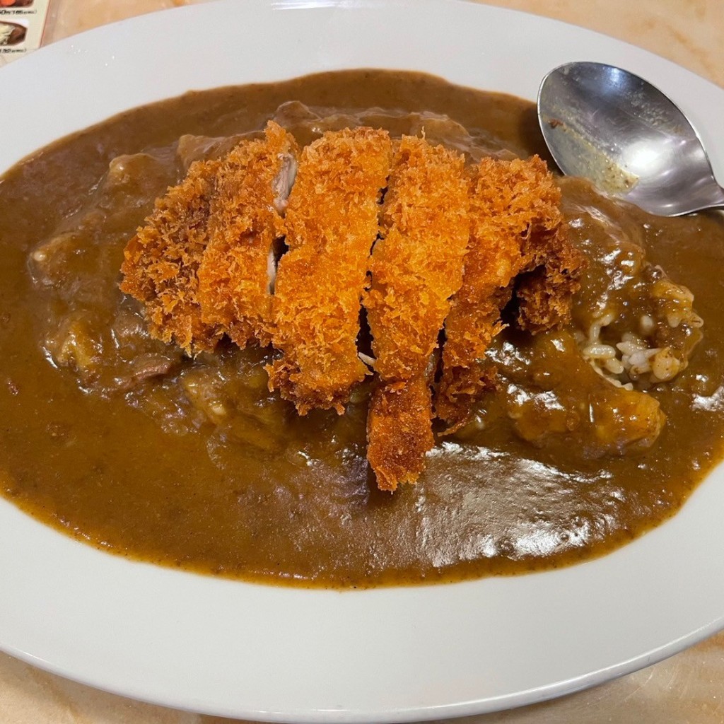 ユーザーが投稿したチキンカツカレージャンボの写真 - 実際訪問したユーザーが直接撮影して投稿した難波カレーピッコロ なんばウォーク店の写真