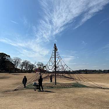 実際訪問したユーザーが直接撮影して投稿した永吉公園わんぱく広場の写真