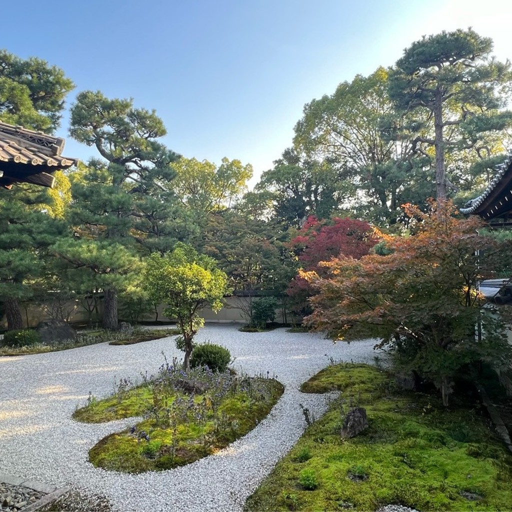 実際訪問したユーザーが直接撮影して投稿した北之辺町寺廬山寺の写真