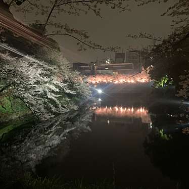 実際訪問したユーザーが直接撮影して投稿した河川千鳥ケ淵の写真