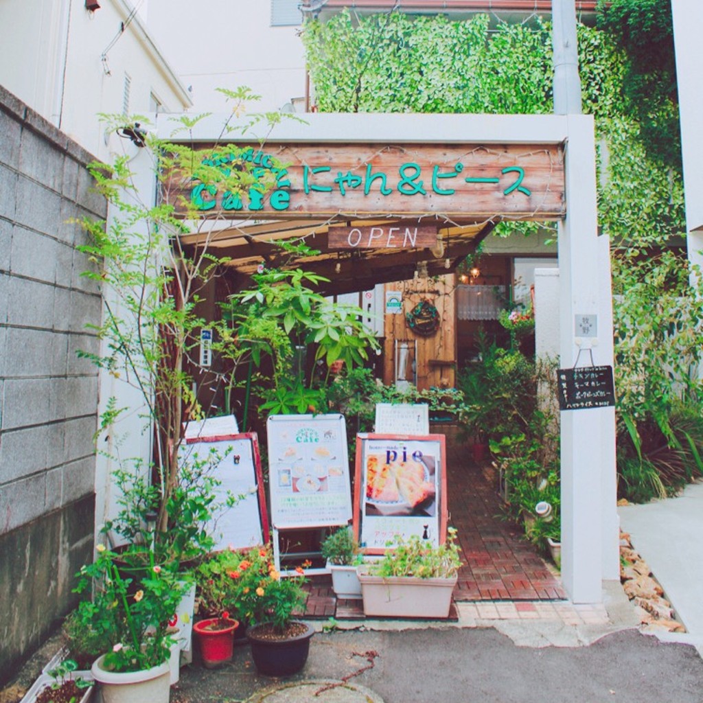 実際訪問したユーザーが直接撮影して投稿した北沢カフェよりみちカフェ にゃん&ピースの写真