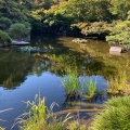 実際訪問したユーザーが直接撮影して投稿した紀尾井町庭園ホテルニューオータニ 日本庭園の写真