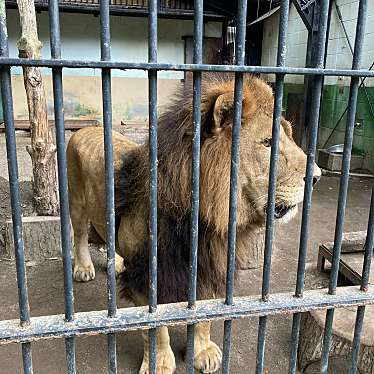 おびひろ動物園のundefinedに実際訪問訪問したユーザーunknownさんが新しく投稿した新着口コミの写真