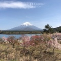 実際訪問したユーザーが直接撮影して投稿した精進湖沼 / 池精進湖の写真