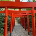 実際訪問したユーザーが直接撮影して投稿した三好町神社三好稲荷閣の写真