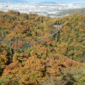 実際訪問したユーザーが直接撮影して投稿した星田地域名所星のブランコの写真