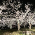 実際訪問したユーザーが直接撮影して投稿した黒鳥町公園黒鳥山公園の写真