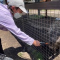 実際訪問したユーザーが直接撮影して投稿した芦田八ケ野遊園地 / テーマパーク白樺リゾート 池の平ファミリーランドの写真